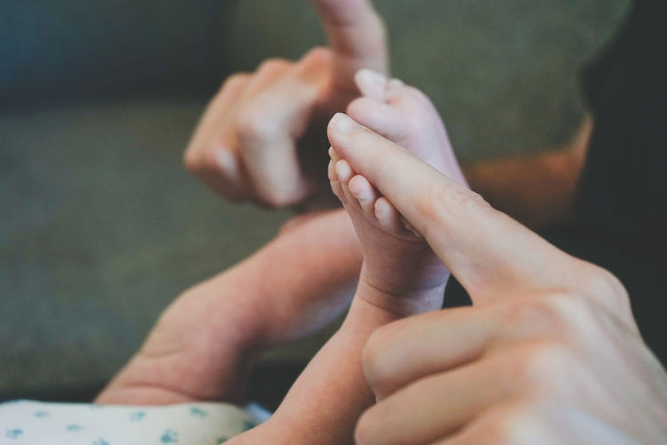 Close-up of baby holding person hands