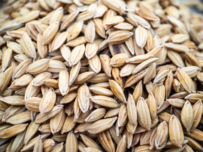 Full frame shot of wheat