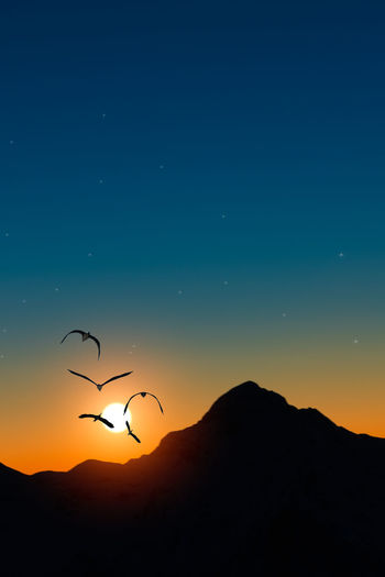 Low angle view of bird flying against sky at sunset