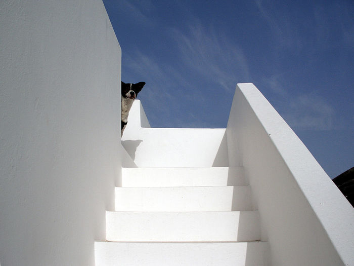 Low angle view of whitewashed stairway against sky