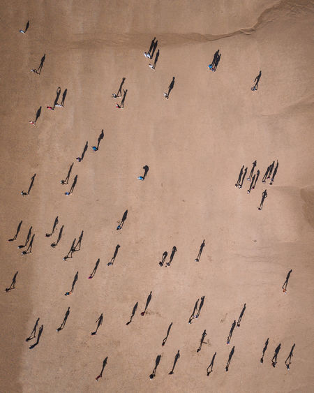Aerial view of people on land