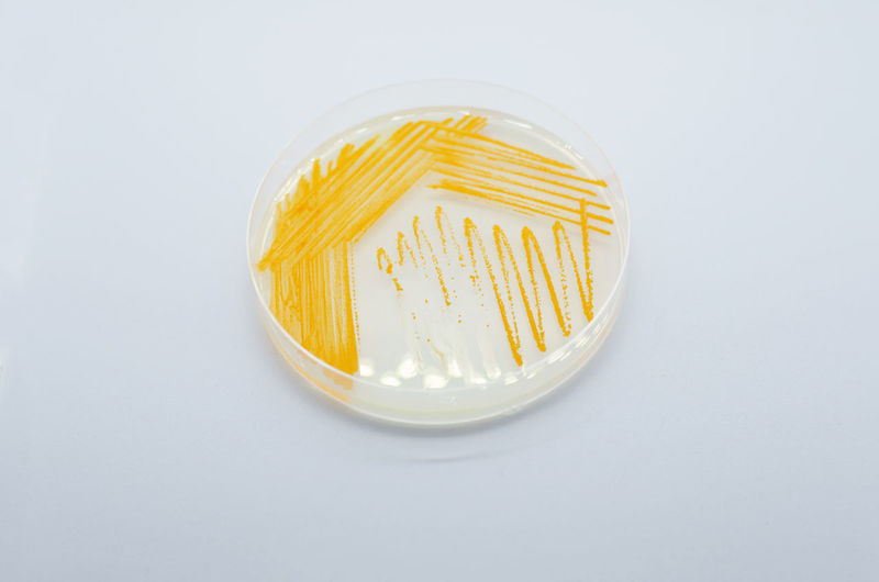 High angle view of drink in glass on white background
