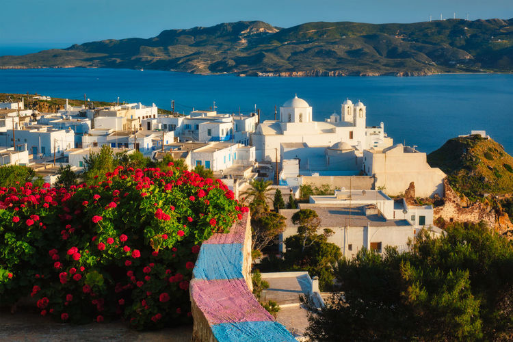 Picturesque scenic view of greek town plaka on milos island over red geranium flowers