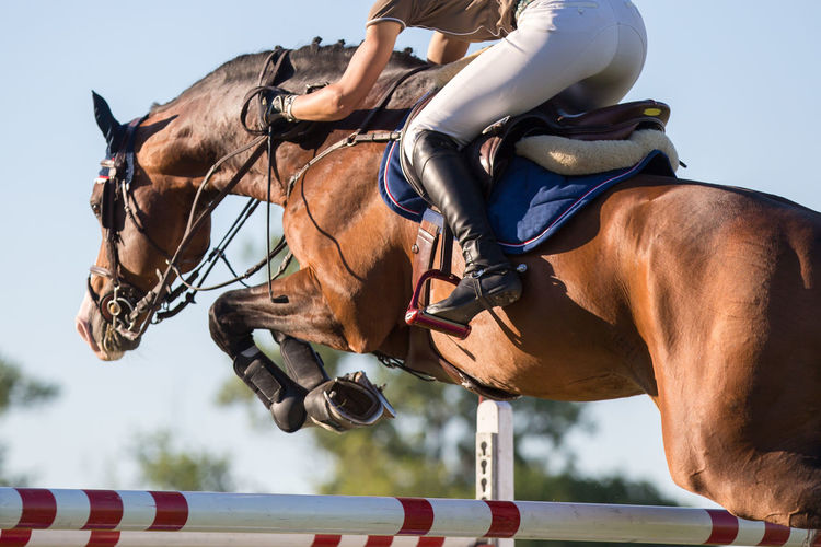 Low section of jockey jumping horse over hurdles against sky