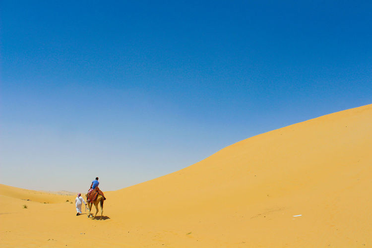 Man riding camel in desert against clear sky