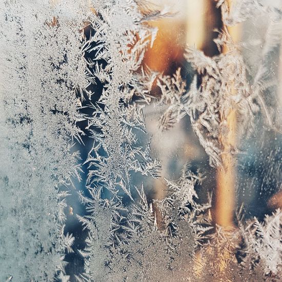 Close-up of snowflakes on window