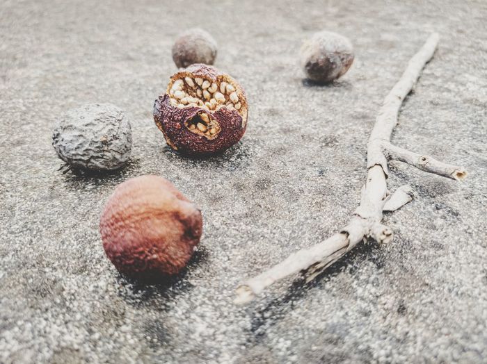 High angle view of dried fruits on the pavement