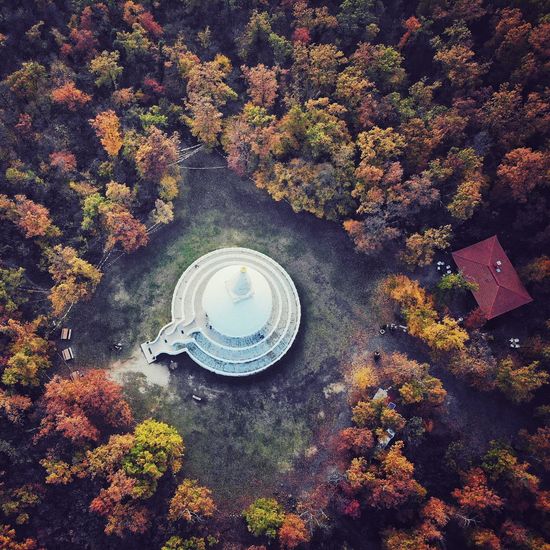 Aerial view of stupa amidst autumn trees