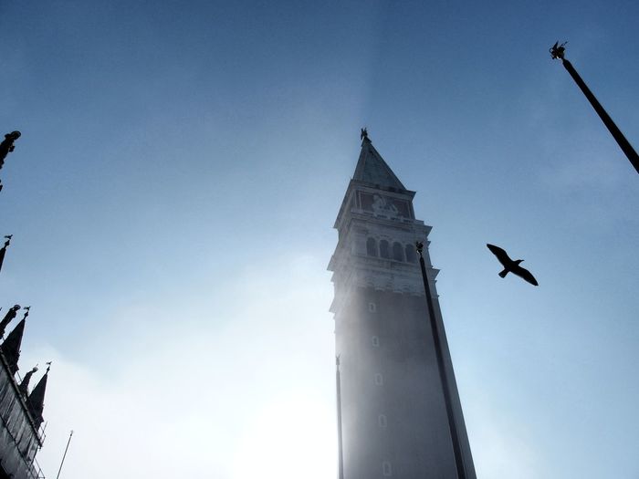 Bird flying by san marco campanile against sky