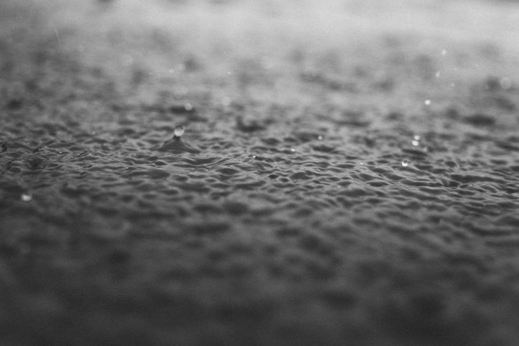 Close-up of water drops