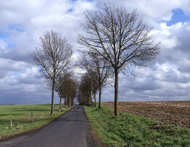 Road amidst bare trees on field against sky