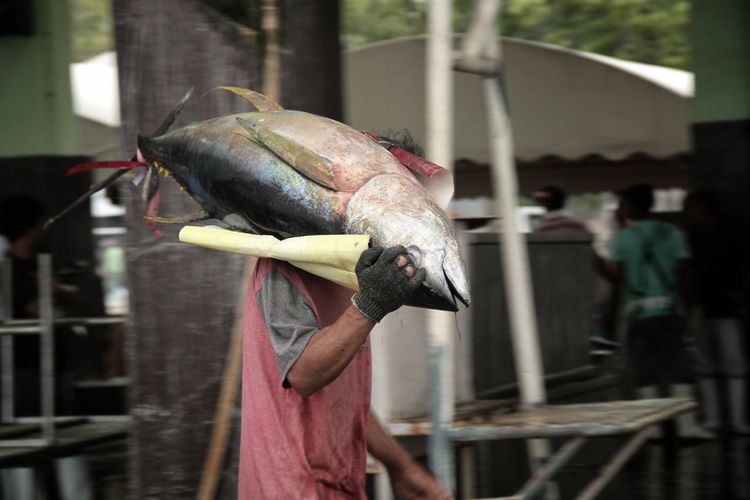 Fishworker carrying a large yellowfin tuna in the port of general santos