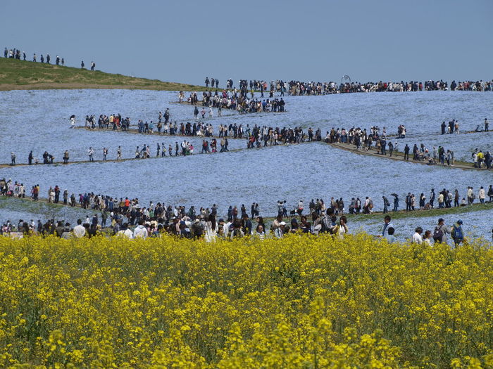 High angle view of people walking on landscape against clear sky