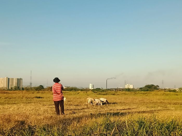 Rear view of man on field against sky