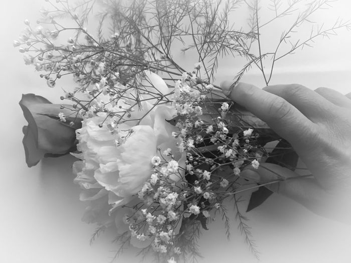 Close-up of cropped hand holding flower
