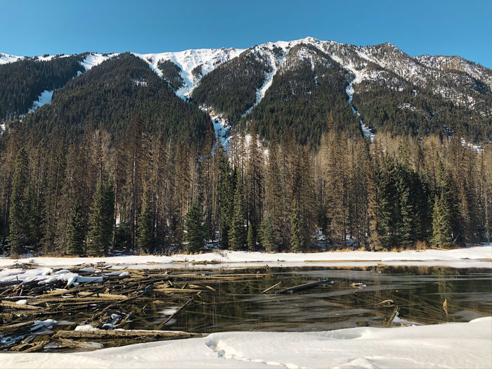 A view of snow covered lillooet lake with driftwoods floating on the surface of the lake.