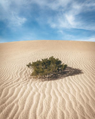 View of sand on desert against sky