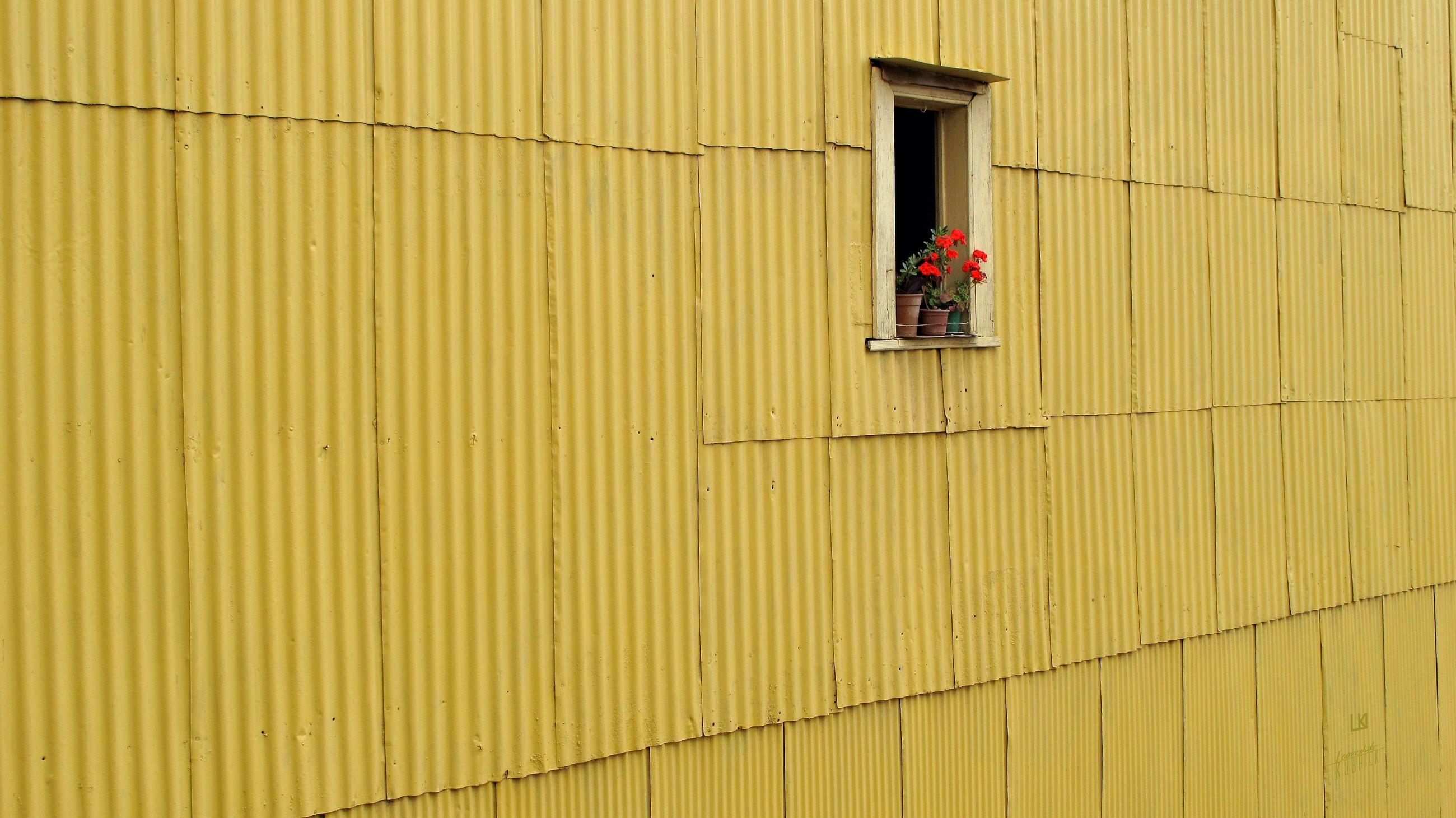 architecture, built structure, yellow, building exterior, day, wall - building feature, outdoors, no people, working, occupation, building, low angle view, transportation, pattern, flowering plant, safety, window