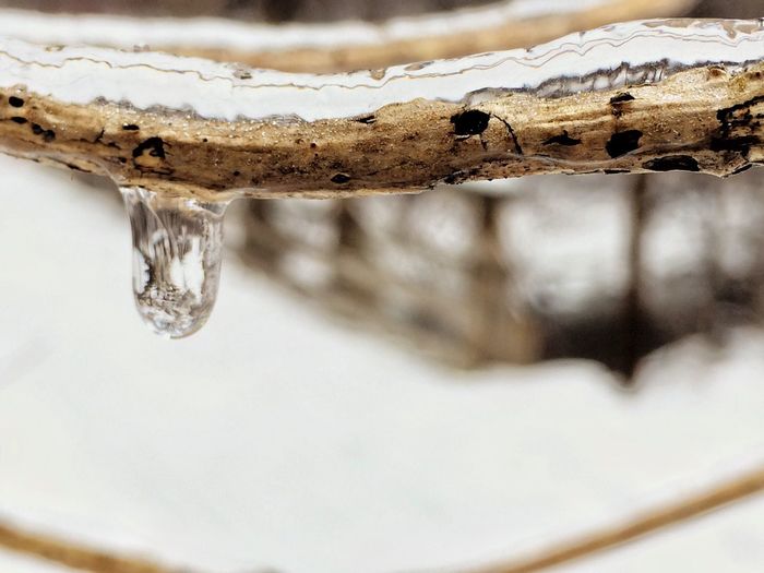 Close up of wood