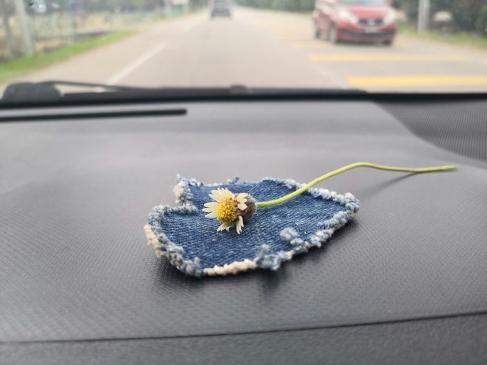 Close-up of flower on dashboard in car