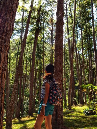 Side view of girl standing amidst trees in forest