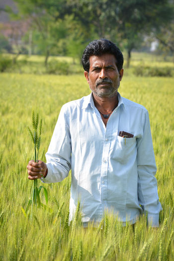 Indian farmer at wheat field