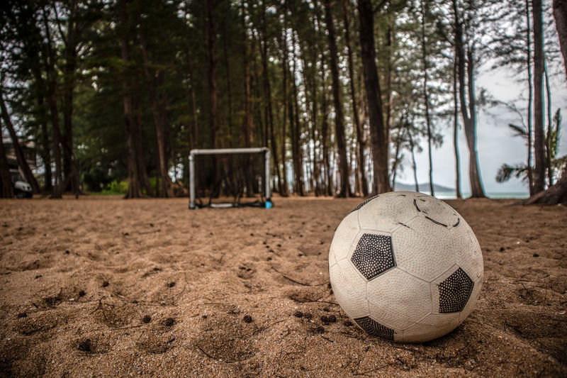 Soccer ball on field by trees