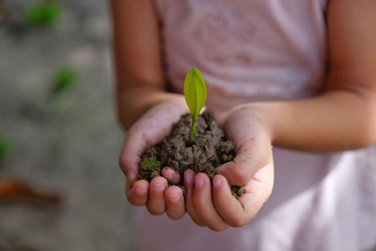 Midsection of girl holding plant