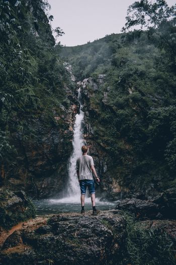 Rear view of woman standing by waterfall in forest