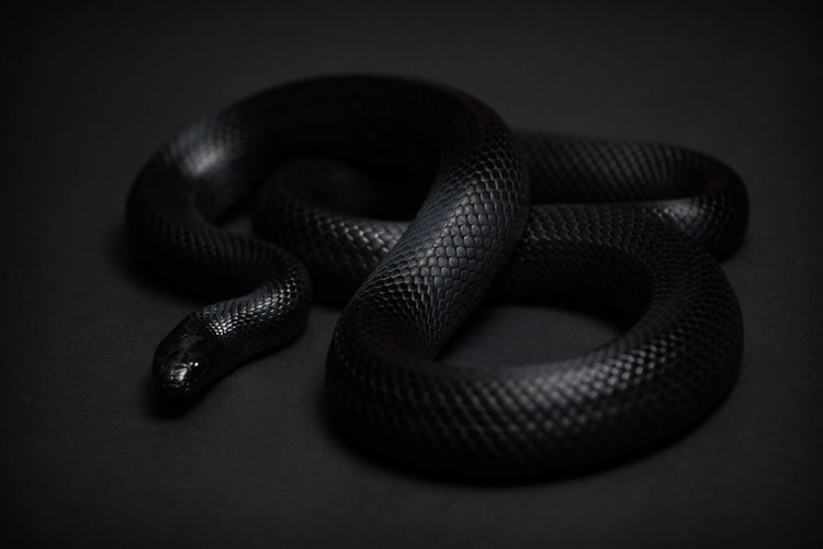 Close-up of a black background