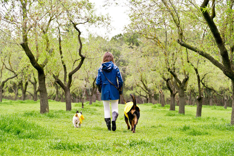 Portrait of woman with dog on grassy field