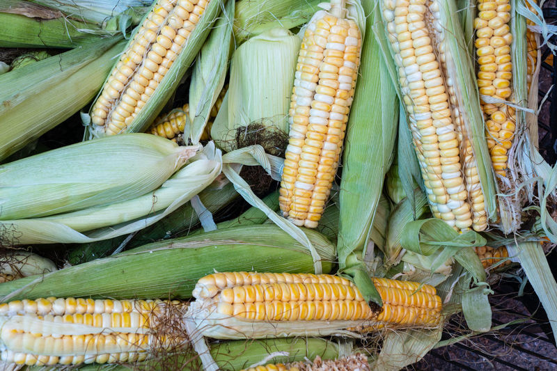 Corn for sale in the open-air market place