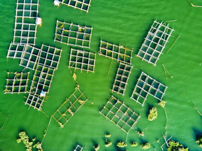 Directly above shot of bamboo fish farms on sea