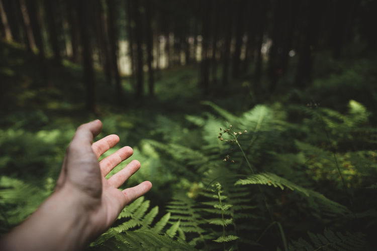 Cropped image of man gesturing by plants in forest