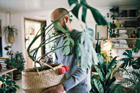 MAN WITH POTTED PLANT IN BASKET