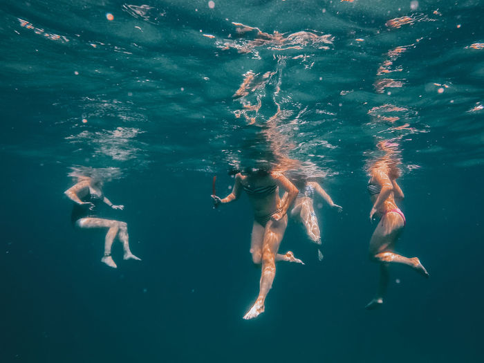 Low section of women swimming undersea