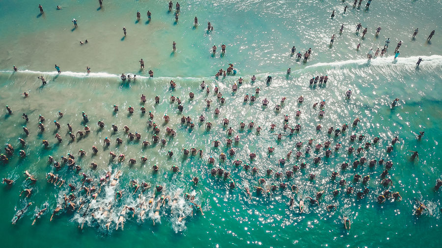 High angle view of people swimming in water during winter
