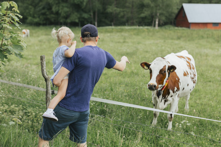Father and daughter feeding a cow