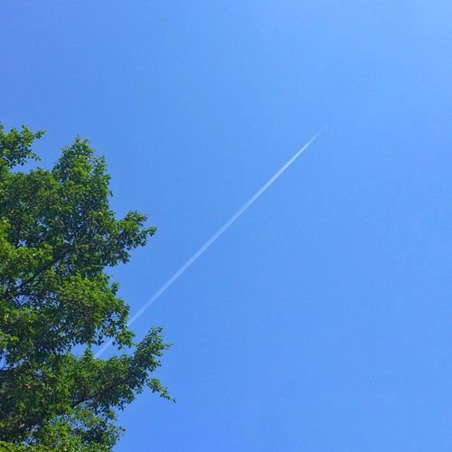 Low angle view of vapor trail in sky