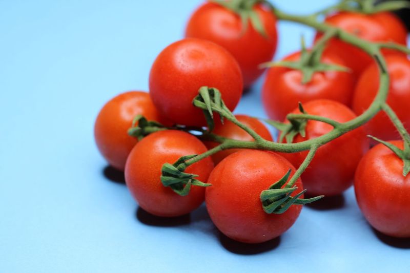Close-up of tomatoes against blue background