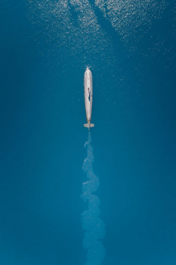 High angle view of swimming underwater