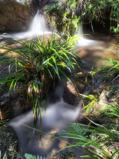 waterfall