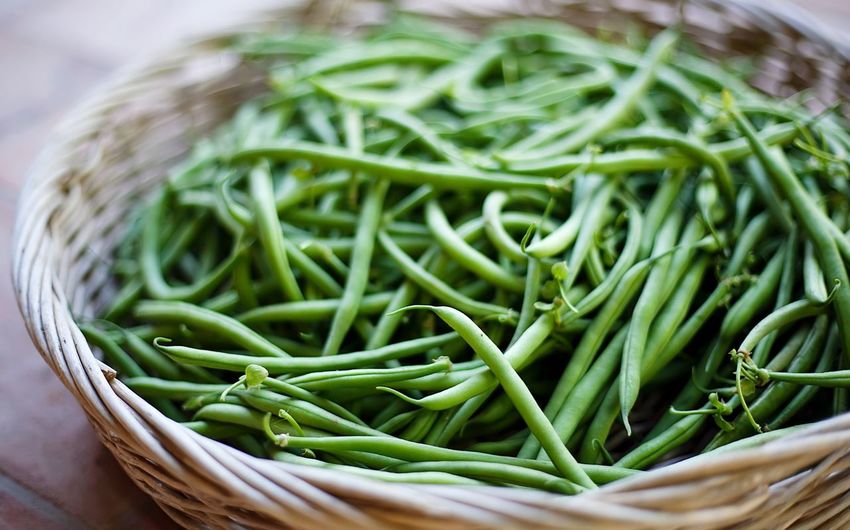 Green beans in basket on table