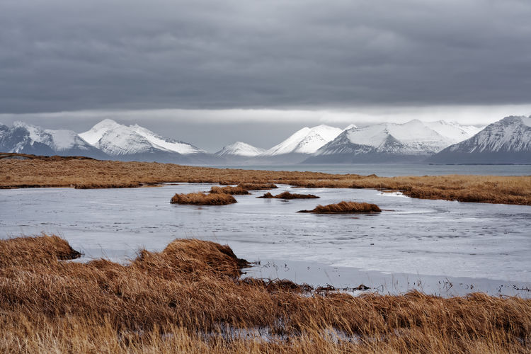Over a frozen lake with reddish grass and a bay the view goes to a snow-covered mountain range