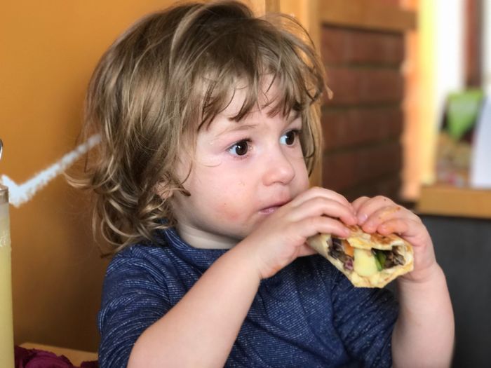 Close-up of boy eating sandwich at home