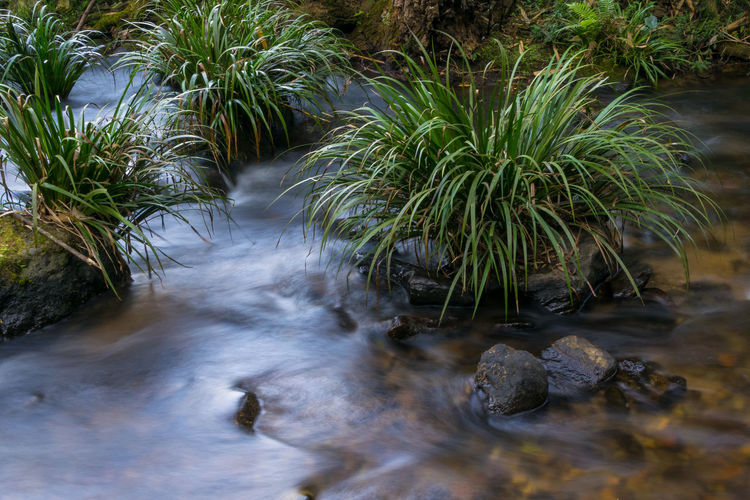 Stream flowing through rocks in river