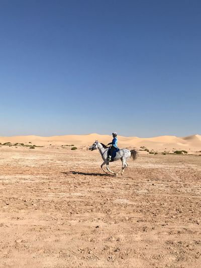 Man riding horse on desert against clear blue sky