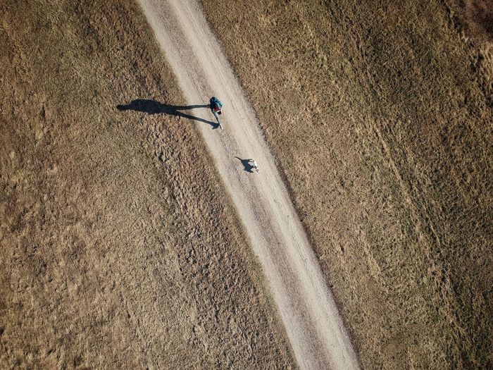 Directly above shot of man and dog running on road