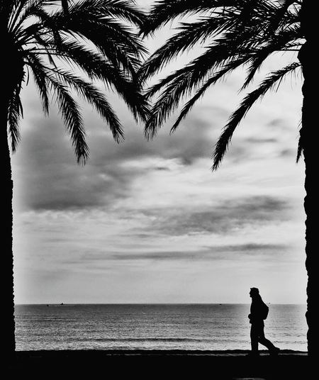 Silhouette of man on beach against sky