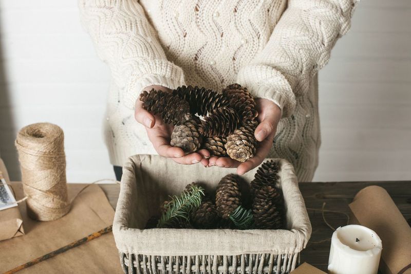 Midsection of woman holding pine cones above basket at home